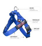 Royal Blue BullHug Dog Harness – Non-Choking, Adjustable