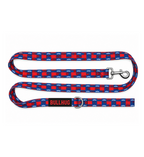 Mustache BullHug 6ft Dog Leash – Padded Handle