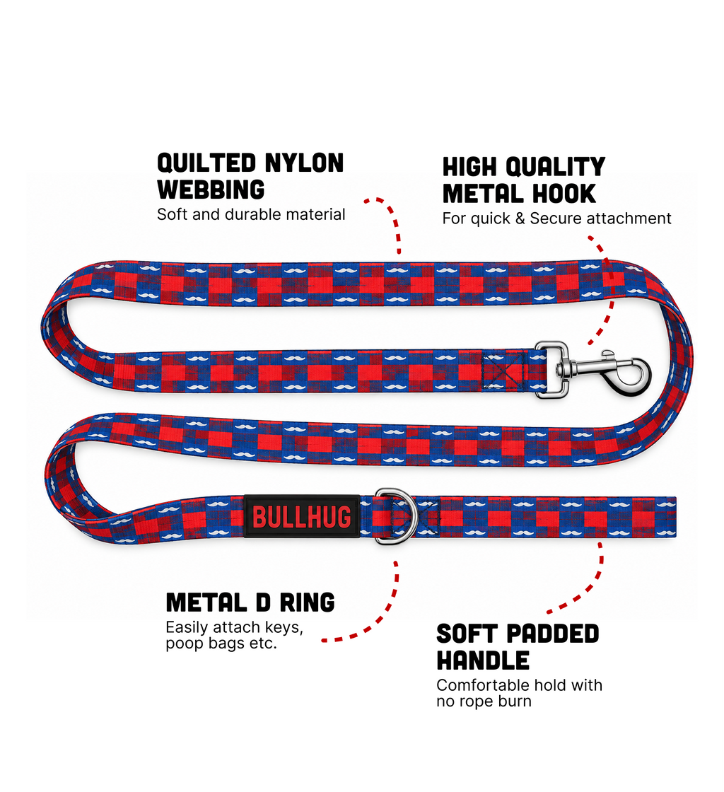 Mustache BullHug 6ft Dog Leash – Padded Handle