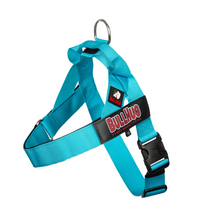 Teal BullHug Dog Harness – Non-Choking, Adjustable