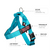 Teal BullHug Dog Harness – Non-Choking, Adjustable