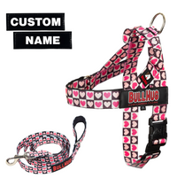 Checkered Hearts BullHug Dog Harness & Leash Combo