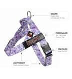 Purple Floral BullHug Dog Harness – Non-Choking, Adjustable