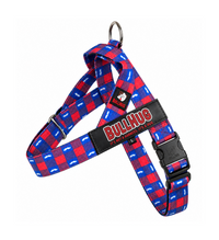 Mustache BullHug Dog Harness – Non-Choking, Adjustable
