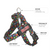 Starbright BullHug Dog Harness – Non-Choking, Adjustable