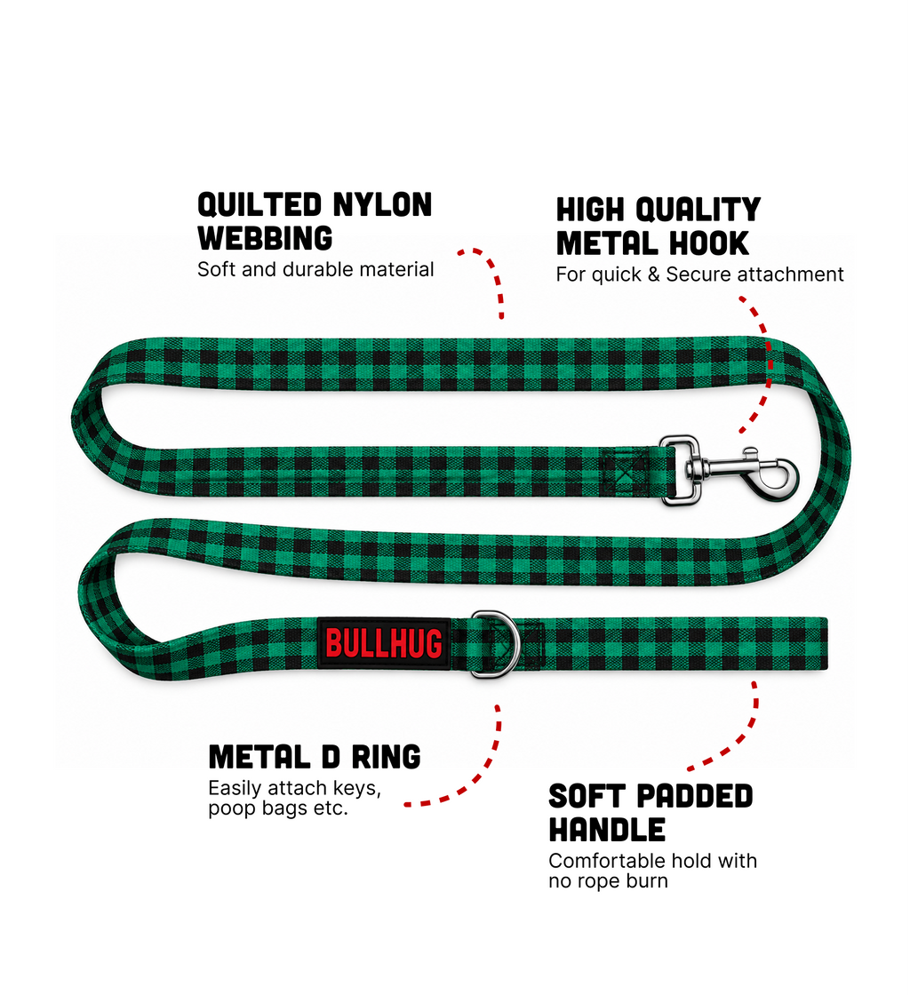 Buffalo Plaid Green BullHug 6ft Dog Leash – Padded Handle