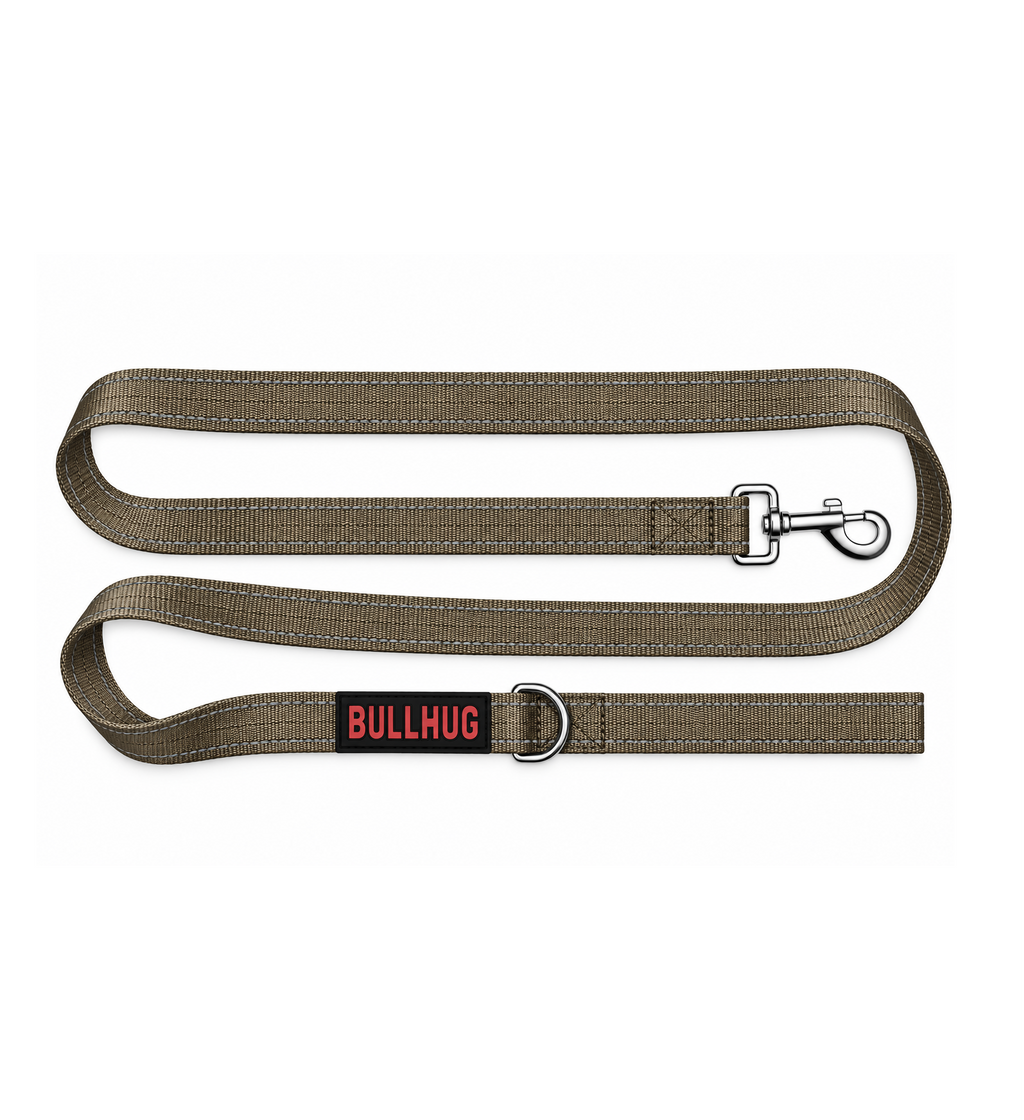 Taupe BullHug 6ft Dog Leash – Padded Handle