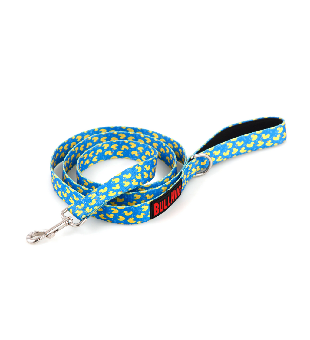 Rubber Ducky BullHug 6ft Dog Leash – Padded Handle