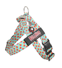 Fries BullHug Dog Harness – Non-Choking, Adjustable