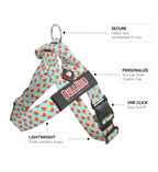 Fries BullHug Dog Harness – Non-Choking, Adjustable