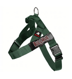 Hunter Green BullHug Dog Harness – Non-Choking, Adjustable
