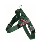 Hunter Green BullHug Dog Harness & Leash Combo