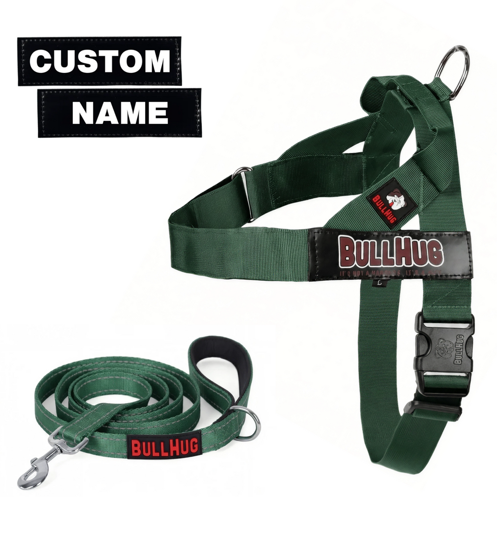 Hunter Green BullHug Dog Harness & Leash Combo