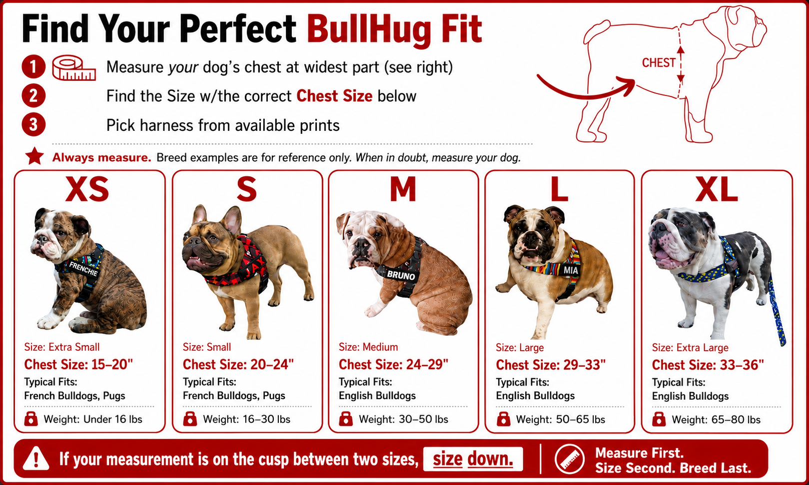 Tacos BullHug Dog Harness – Non-Choking, Adjustable