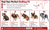 Hugs For Hope BullHug Dog Harness & Leash Combo
