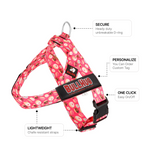 Donuts BullHug Dog Harness – Non-Choking, Adjustable