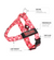 Donuts BullHug Dog Harness – Non-Choking, Adjustable