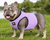 BullHug Cooling Vest – Breathable Dog Cooling Vest