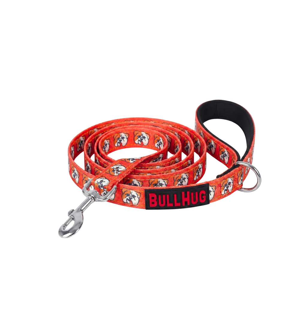 Hugs For Hope BullHug Dog Harness & Leash Combo