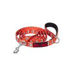 Hugs For Hope BullHug Dog Harness & Leash Combo