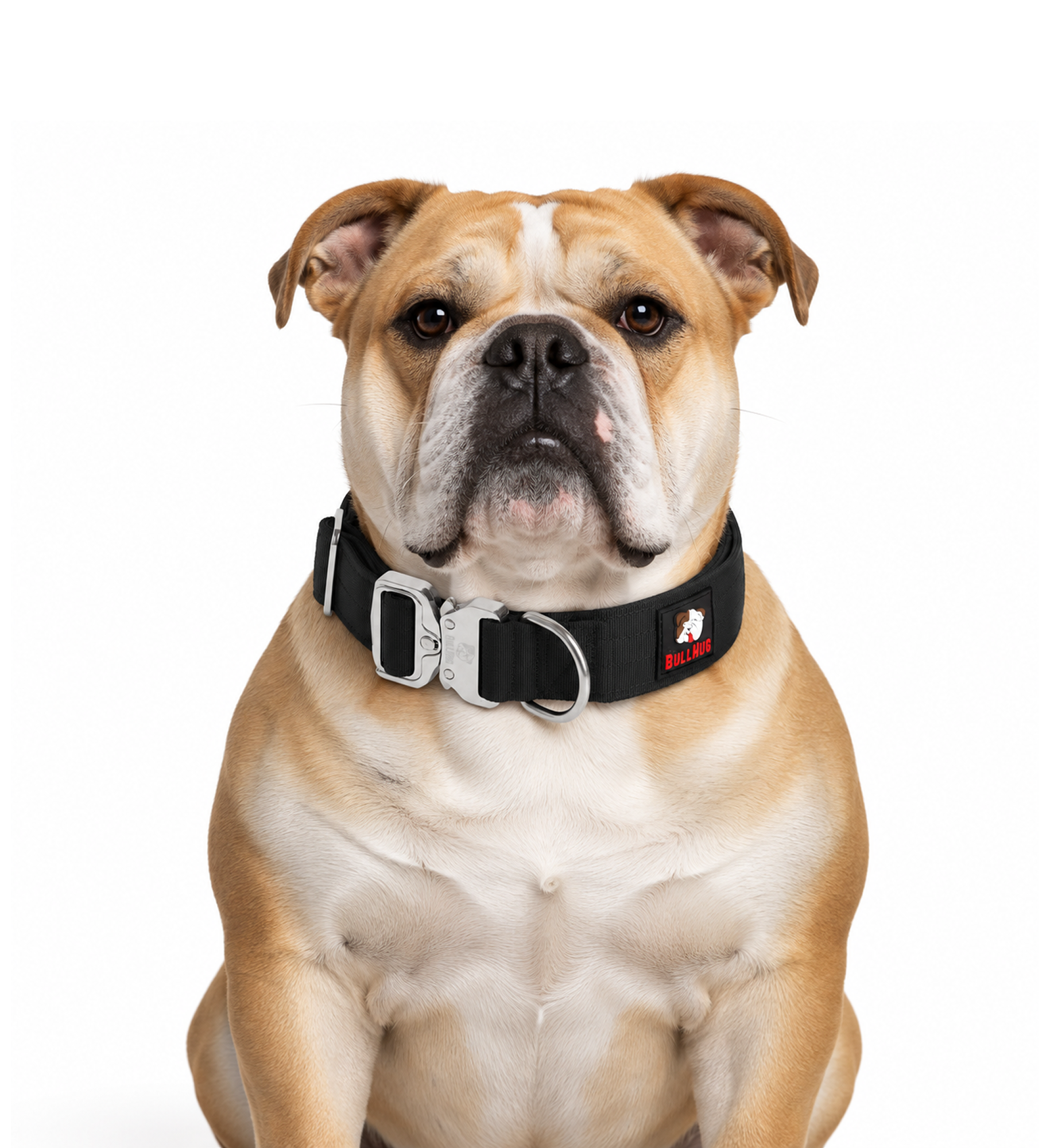 1.5-INCH BULLHUG TACTICAL COLLAR - BLACK