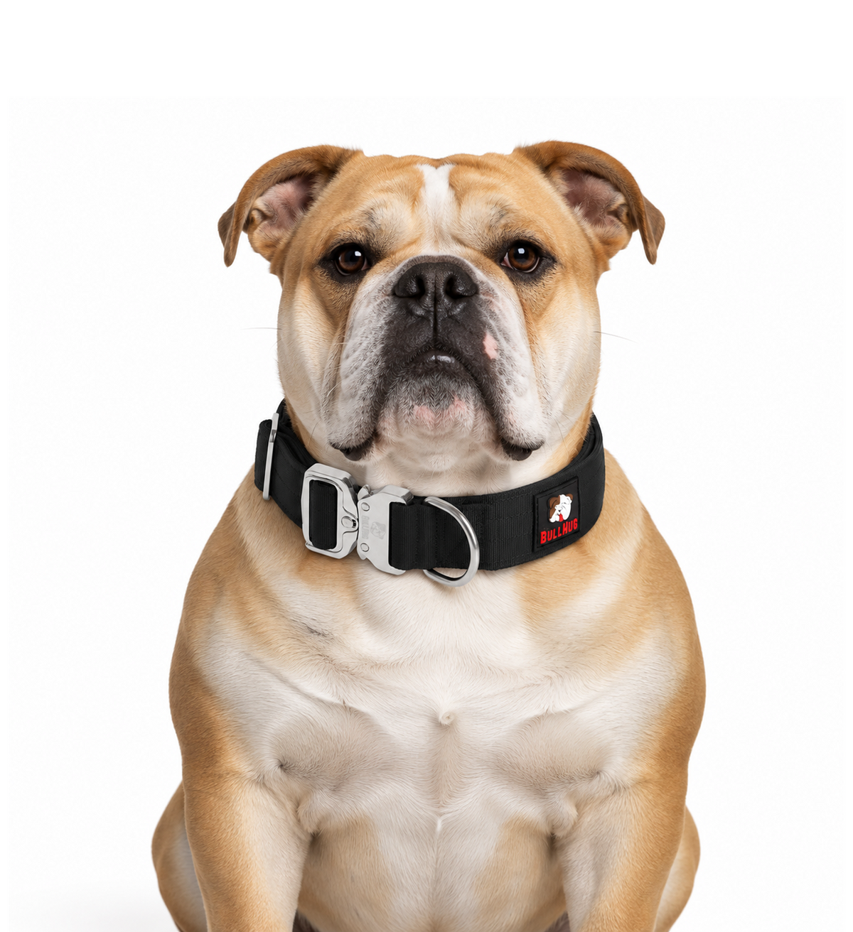 1.5-INCH BULLHUG TACTICAL COLLAR - BLACK