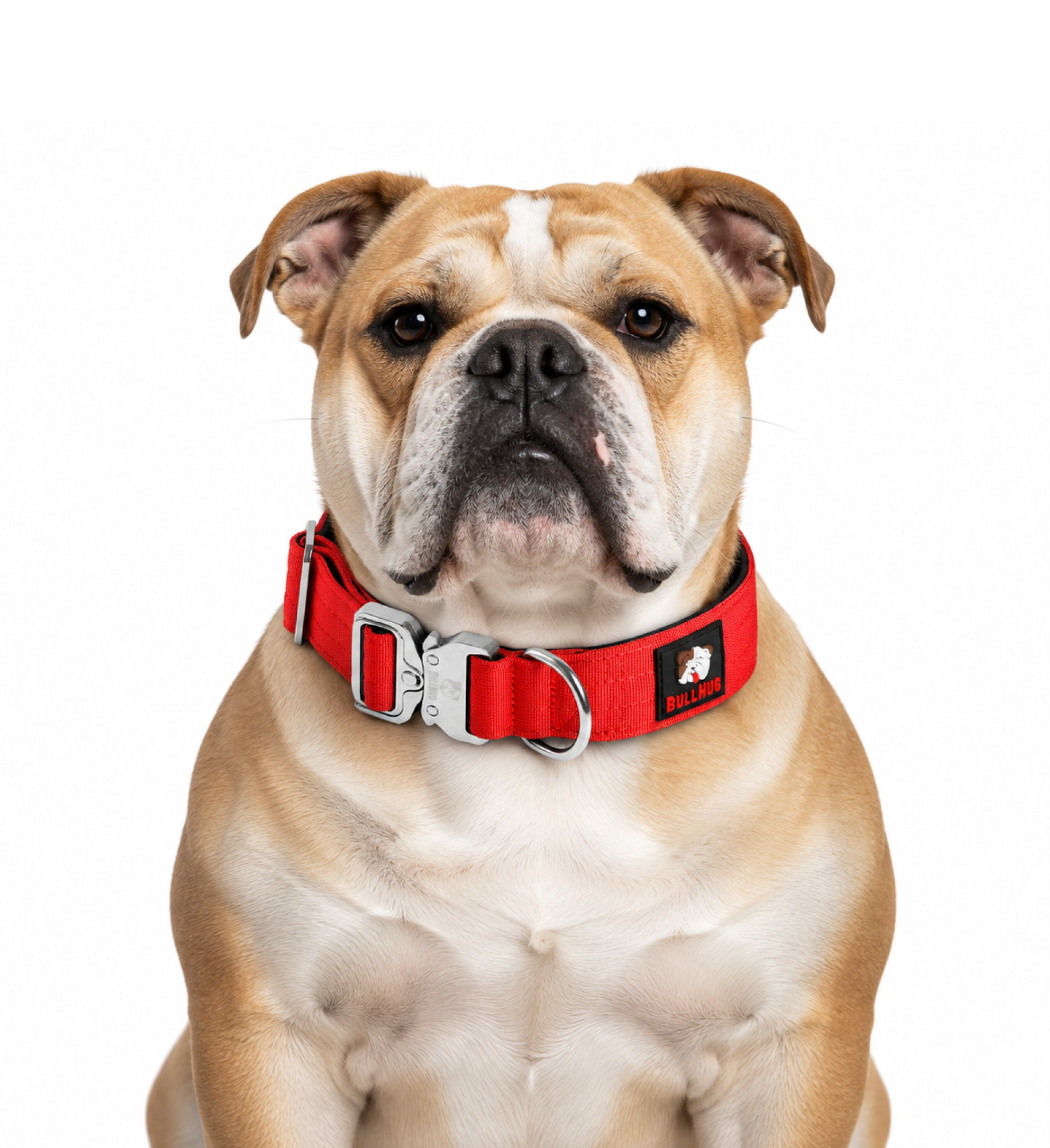 1.5-INCH BULLHUG TACTICAL COLLAR - RED