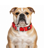 1.5-INCH BULLHUG TACTICAL COLLAR - RED