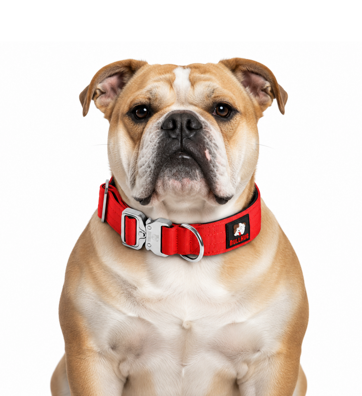 1.5-INCH BULLHUG TACTICAL COLLAR - RED