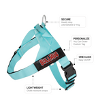 Tiffany Blue BullHug Dog Harness – Non-Choking, Adjustable