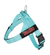 Tiffany Blue BullHug Dog Harness – Non-Choking, Adjustable