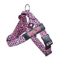 "PINK LEOPARD " BULLHUG COMBO KIT