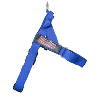 "ROYAL BLUE" BULLHUG HARNESS