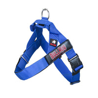 "ROYAL BLUE" BULLHUG HARNESS