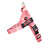 Bullhug Dog Harness - Cupcakes