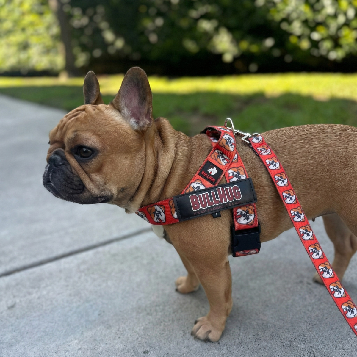 Hugs For Hope BullHug Dog Harness – Non-Choking, Adjustable