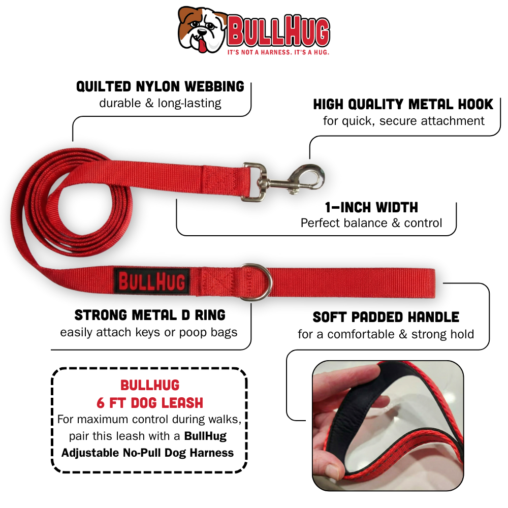 BullHug 6ft Dog Leash Infographic