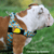 "TACOS'' BULLHUG HARNESS