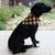Yellow Buffalo Plaid Bandana