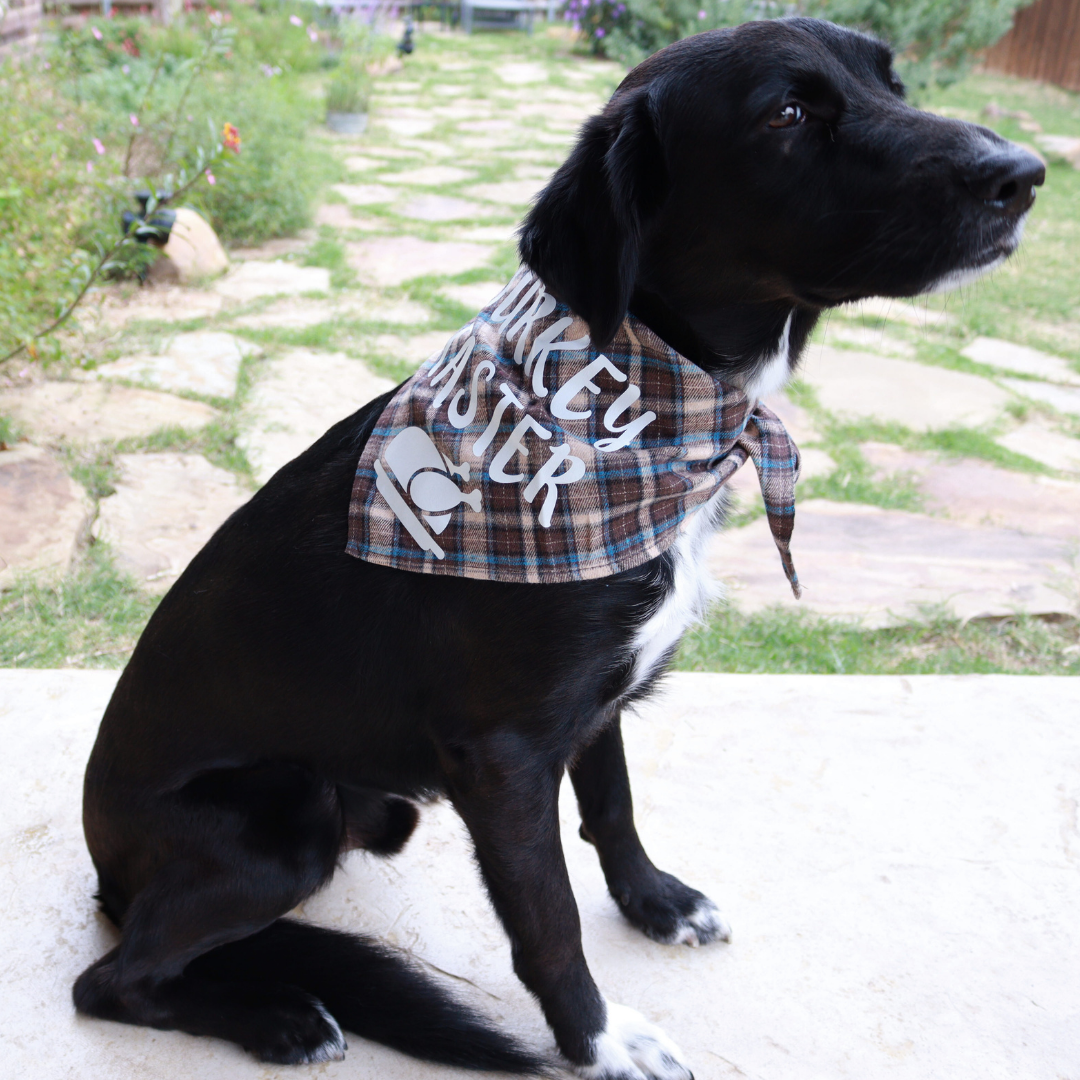 Turkey Taster Bandana
