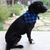 Blue Buffalo Plaid Bandana