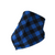 Blue Buffalo Plaid Bandana