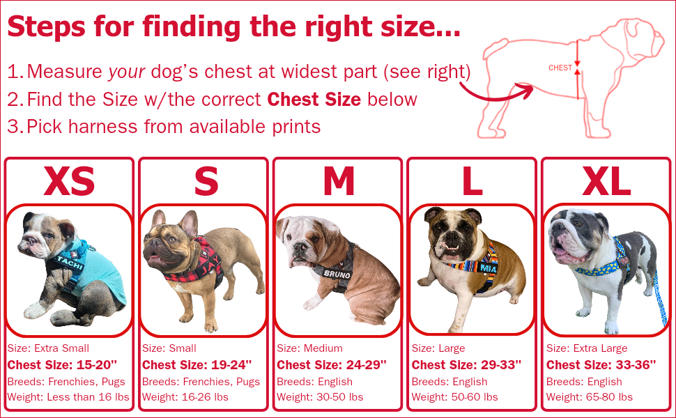 French bulldog neck size hot sale