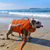 BullHug Life Jacket