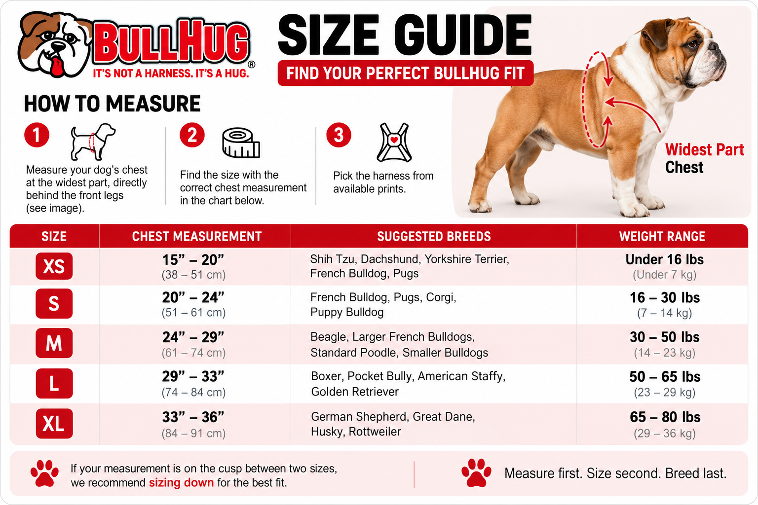 A BullHug brand size guide infographic for dogs, showing a bulldog with red measurement lines on its chest, a step-by-step how-to diagram, and a size chart table listingXS, S, M, and XL chest measurements with suggested breeds and weight ranges.