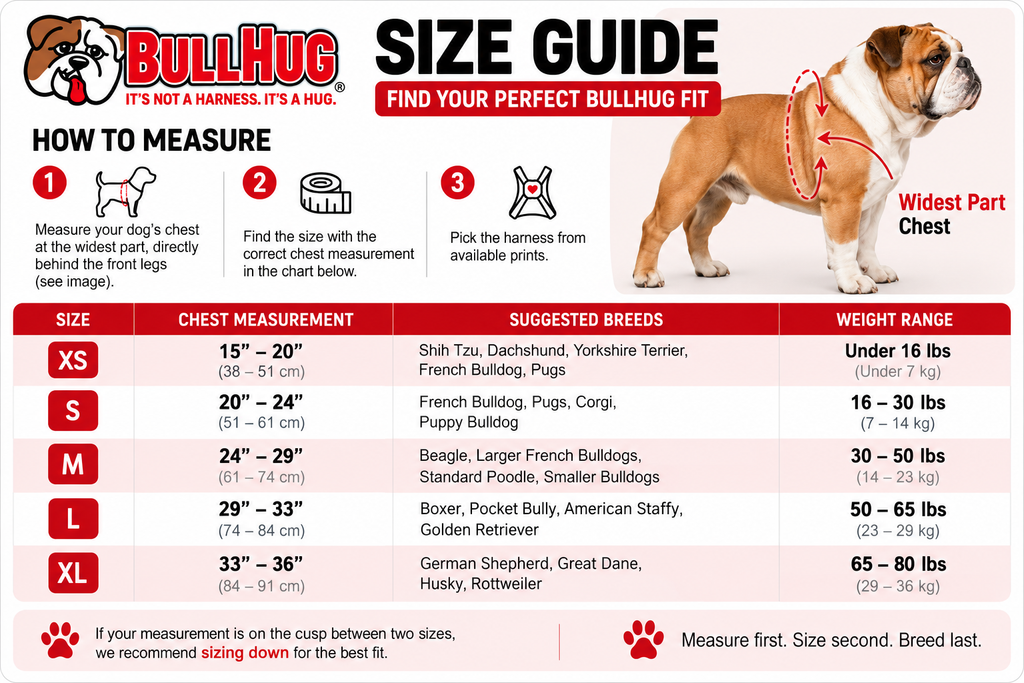 Royal Blue BullHug Dog Harness – Non-Choking, Adjustable
