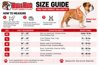 Royal Blue BullHug Dog Harness – Non-Choking, Adjustable