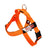 "NEON ORANGE " BULLHUG HARNESS - thebullhug.com