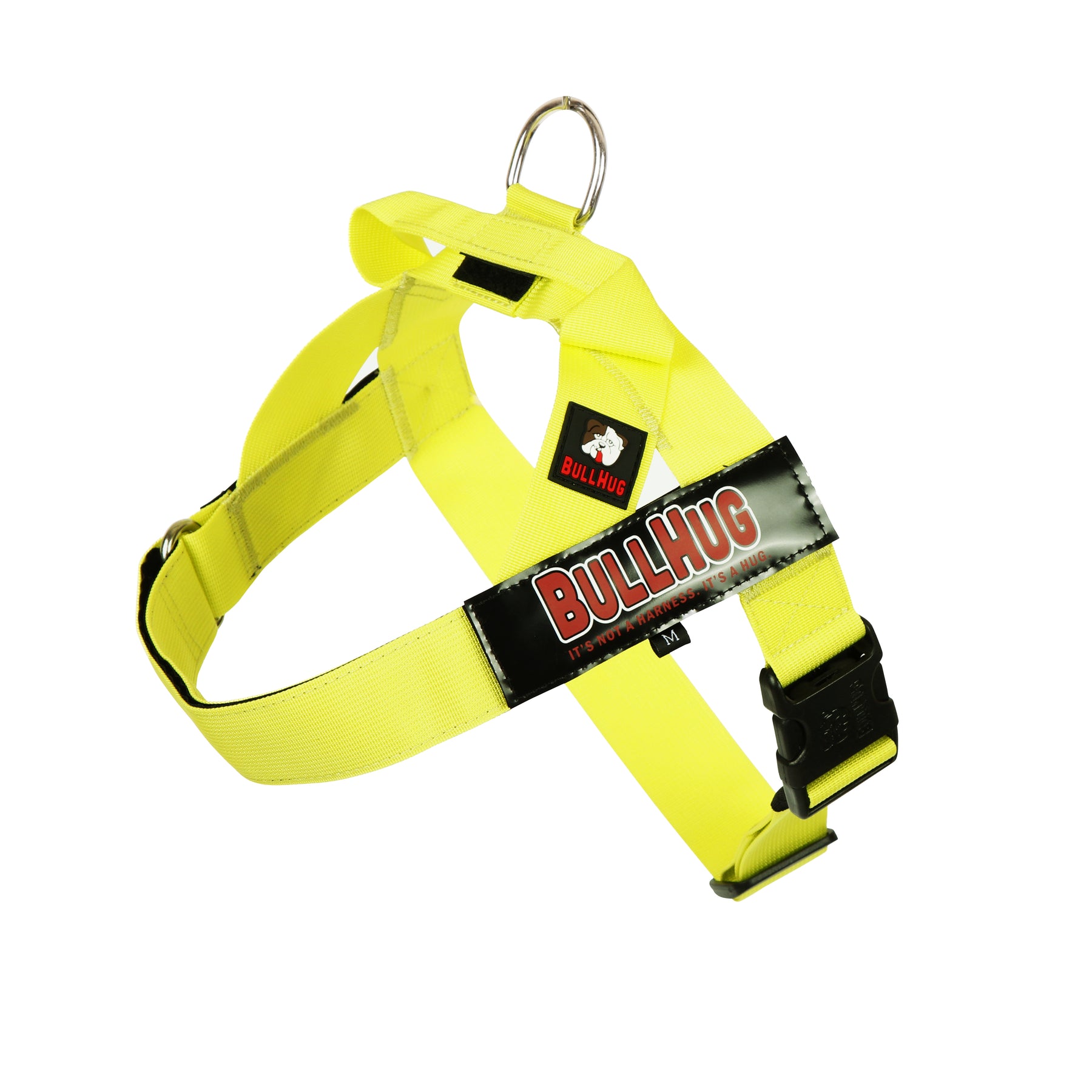 BullHug Dog Harnesses and LeashesN