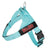 Tiffany Blue Bullhug Harness for Dogs